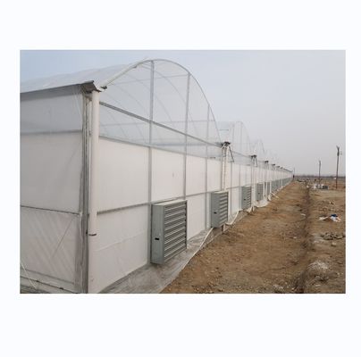 Invernadero agrícola de gran resistencia con múltiples tramos por Shine Tech