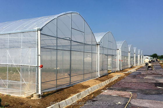 Invernadero agrícola de gran resistencia con múltiples tramos por Shine Tech