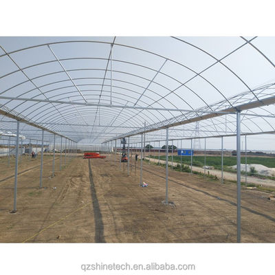 Invernadero agrícola de gran resistencia con múltiples tramos por Shine Tech