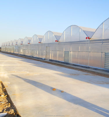 Invernadero agrícola de gran resistencia con múltiples tramos por Shine Tech