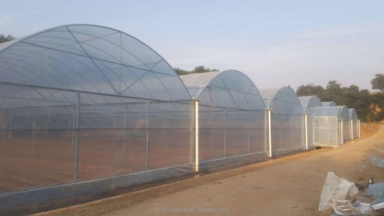 Invernadero agrícola de gran resistencia con múltiples tramos por Shine Tech
