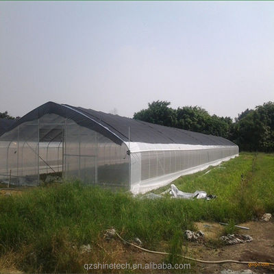 Invernadero de tomate cubierto con película de túnel alto con red de sombra de una sola capa 10-100m de longitud