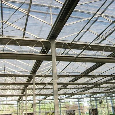 Gran invernadero agrícola inteligente holandés vidrio para tomates pepino lechuga