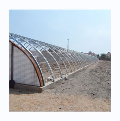 Invernadero solar pasivo Invernadero cálido para la agricultura comercial del mercado canadiense