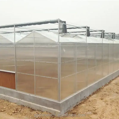 Tomate Cultivar Agricultura Invernaderos Fabricantes en estilo Venlo con cubierta de hoja de PC