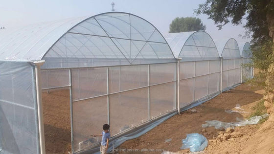 Resistencia súper fuerte Agricultura Cuadro de invernadero multispan para el cultivo de verduras