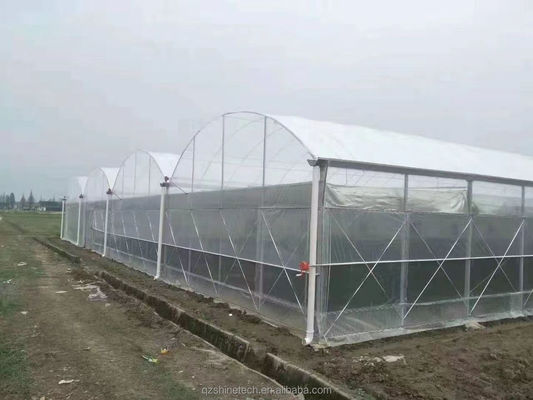 Resistencia súper fuerte Agricultura Cuadro de invernadero multispan para el cultivo de verduras