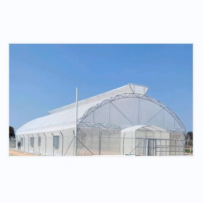 Dibujo Shine Tech Túnel de tramo único Invernaderos agrícolas