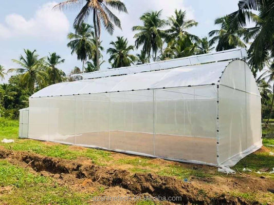 Dibujo Shine Tech Túnel de tramo único Invernaderos agrícolas
