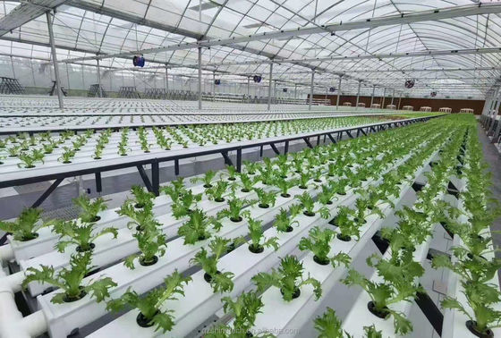 Sistema de cultivo hidropónico 100 * 50mm NFT PVC tubo de cultivo vertical con accesorios blancos