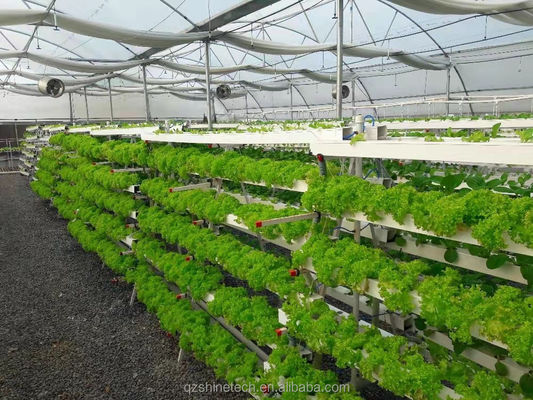 Sistema de cultivo hidropónico 100 * 50mm NFT PVC tubo de cultivo vertical con accesorios blancos