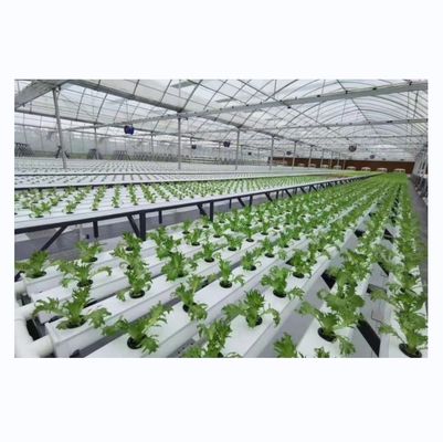 Canal NFT de tipo horizontal de PVC para cultivo de vegetales de hoja hidropónica de tamaño personalizado