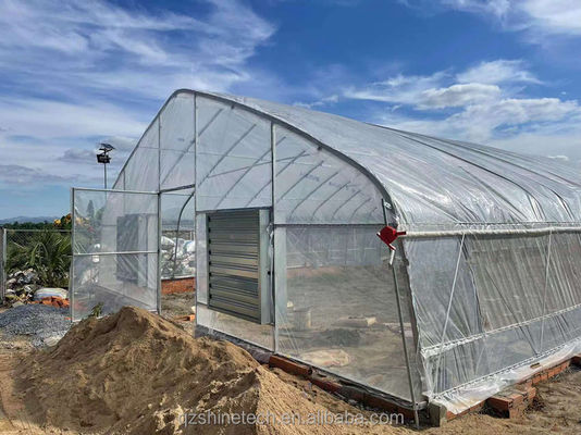 Invernadero de túnel único con película PE de protección UV de 200 micras para el cultivo de tomates y pepinos