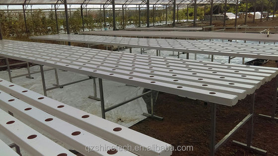 Canal NFT de tipo horizontal de PVC para cultivo de vegetales de hoja hidropónica de tamaño personalizado