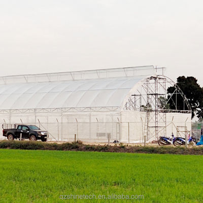 Invernadero de túnel único con película PE de protección UV de 200 micras para el cultivo de tomates y pepinos