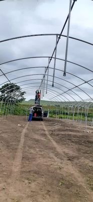 Invernadero de tramo único con marco simple Invernadero de película de túnel poliesférico para la agricultura
