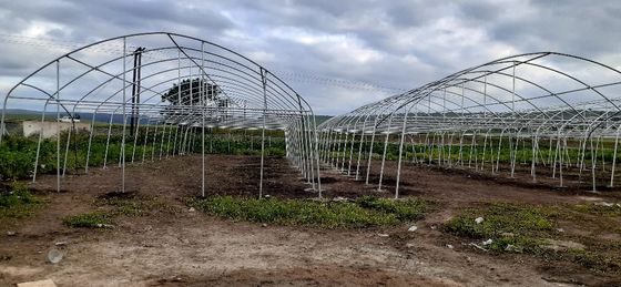 Invernadero de tramo único con marco simple Invernadero de película de túnel poliesférico para la agricultura