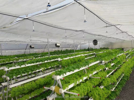 Video Inspección saliente Invernadero hidropónico para la producción de vegetales de hoja verde