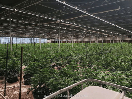 Invernadero de apagón totalmente automatizado de 8m a 12m de ancho para agricultura superior