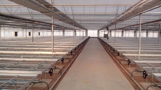 Invernadero de apagón totalmente automatizado de 8m a 12m de ancho para agricultura superior