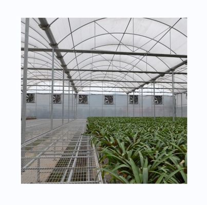 Invernadero de película poliestirada para la agricultura Sistema de refrigeración y riego opcional