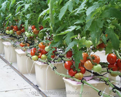 30*25*23cm sistema de cultivo hidropónico completo de cubo holandés para tomate pepino pepino