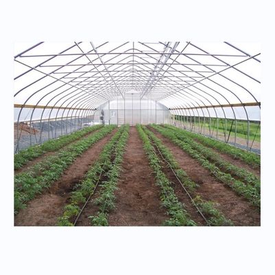 Cultivo de pepinos Invernadero de túnel agrícola pequeño con marco de acero galvanizado