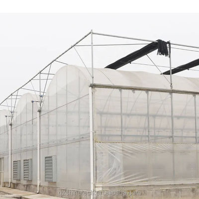 Invernadero de película de una sola capa con marco de acero galvanizado para la agricultura comercial a gran escala