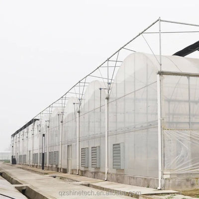Invernadero de película de una sola capa con marco de acero galvanizado para la agricultura comercial a gran escala