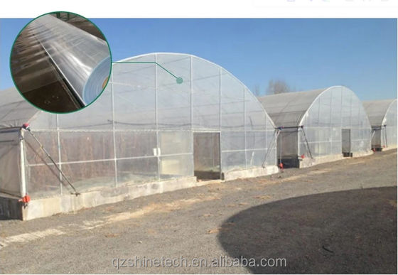 Cuadro de tubo de acero galvanizado en caliente Invernadero agrícola de tramo único para tienda de cultivo