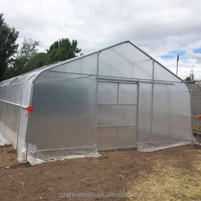 Cuadro de tubo de acero galvanizado en caliente Invernadero agrícola de tramo único para tienda de cultivo