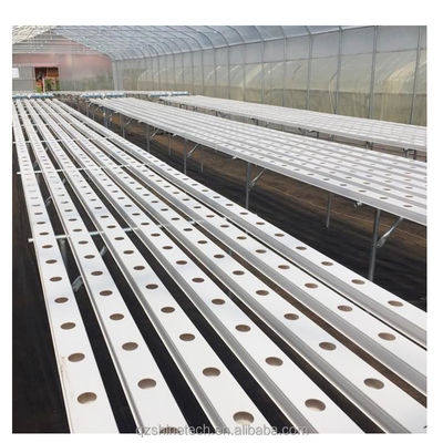 Provisión de inspección de video 100 * 50mm PVC plantación de barranco para la hidroponía NFT personalizada