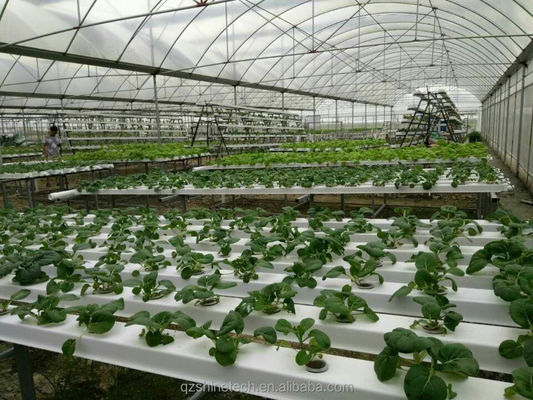 Provisión de inspección de video 100 * 50mm PVC plantación de barranco para la hidroponía NFT personalizada