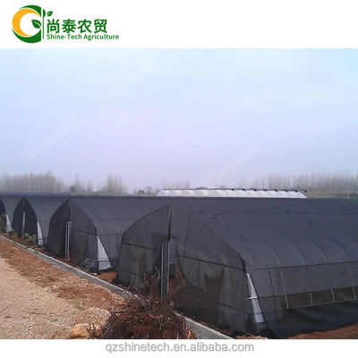 Cuadro de tubo de acero galvanizado en caliente Invernadero agrícola de tramo único para tienda de cultivo