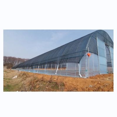 Invernaderos agrícolas de una sola franja de la red de sombreado Invernadero de película para la plantación de tomate