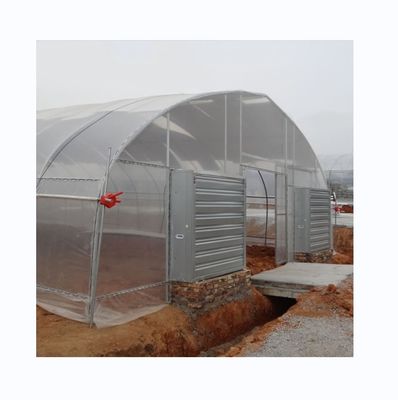 Sistema de refrigeración Invernaderos agrícolas de sola envergadura para el cultivo de tomate