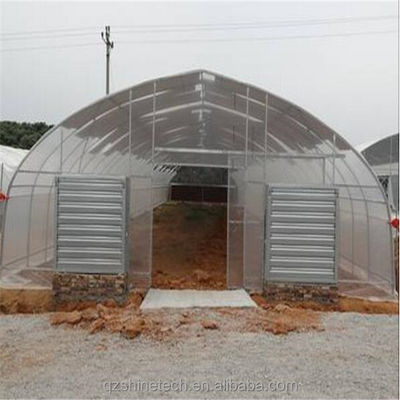 Sistema de refrigeración Invernaderos agrícolas de sola envergadura para el cultivo de tomate