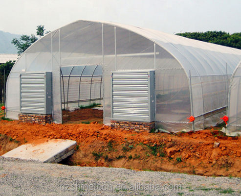 Sistema de refrigeración Invernaderos agrícolas de sola envergadura para el cultivo de tomate