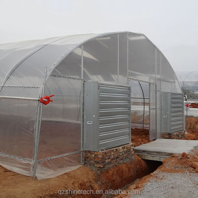 Sistema de refrigeración Invernaderos agrícolas de sola envergadura para el cultivo de tomate