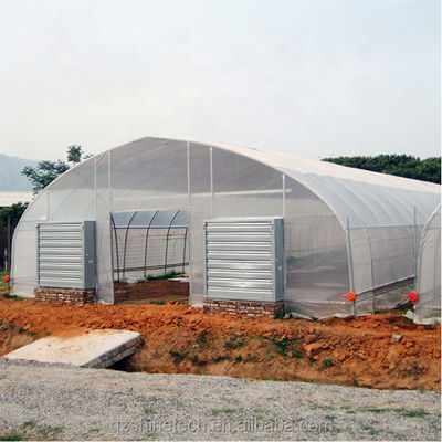 Sistema de refrigeración Invernaderos agrícolas de sola envergadura para el cultivo de tomate