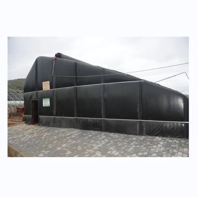Invernadero solar cubierto con película para el cultivo sostenible de pepinos de invierno