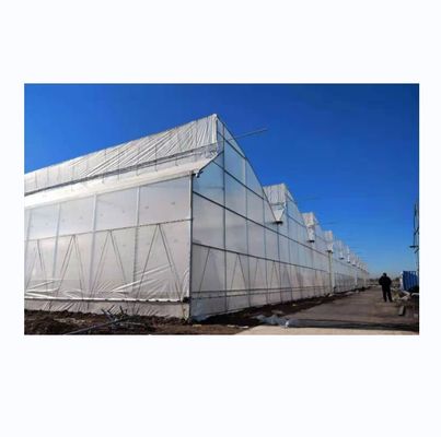 Gran invernadero de dientes de sierra con tecnología de alta tecnología invernadero tropical con ventilación