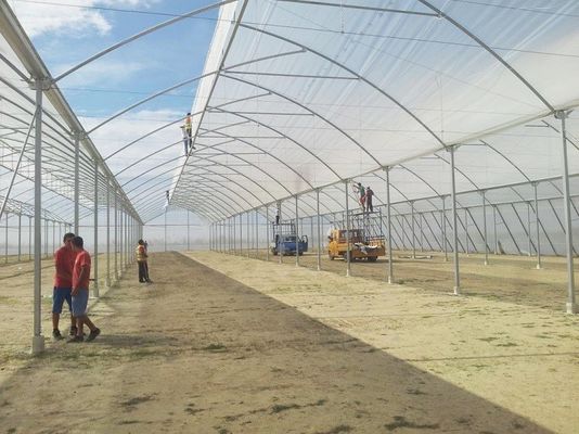 Gran invernadero de dientes de sierra con tecnología de alta tecnología invernadero tropical con ventilación