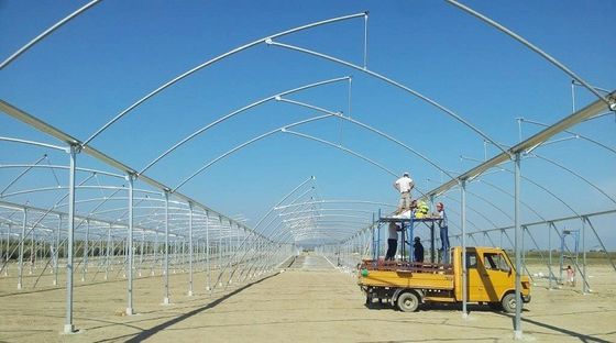 Gran invernadero de dientes de sierra con tecnología de alta tecnología invernadero tropical con ventilación
