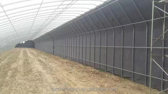 Invernadero solar cubierto con película para el cultivo sostenible de pepinos de invierno