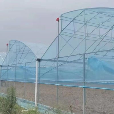Gran invernadero de dientes de sierra con tecnología de alta tecnología invernadero tropical con ventilación