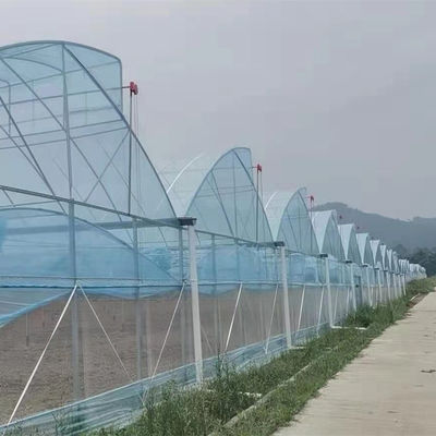 Gran invernadero de dientes de sierra con tecnología de alta tecnología invernadero tropical con ventilación