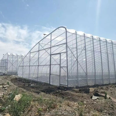 Invernadero solar cubierto con película para el cultivo sostenible de pepinos de invierno