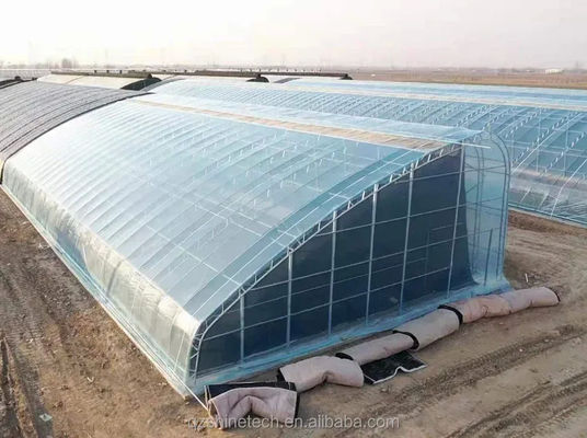 Invernadero solar cubierto con película para el cultivo sostenible de pepinos de invierno