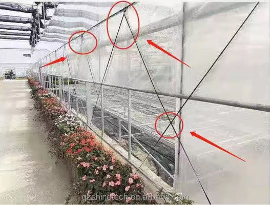 Banda de película de invernadero 200m 250m 300m longitud para la agricultura invernadero